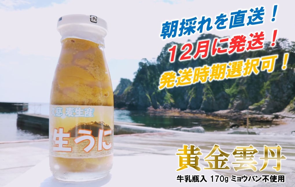 
★12月発送！★発送時期選択可！ 久慈市麦生産 畜養 生うに「黄金雲丹」170g（牛乳瓶入り 生うに）
