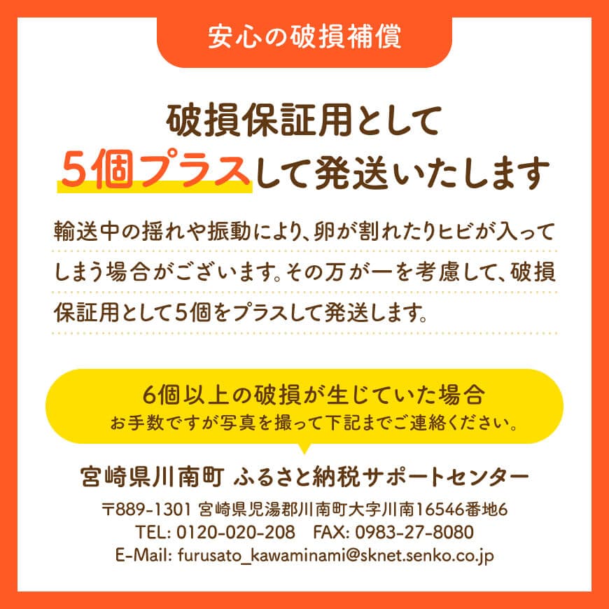 【12ヶ月定期便】宮崎県産鶏卵　「南国からの贈り物」大きな卵40個入り（35個+破損補償5個） 【 卵 たまご 新鮮 おうちごはん タマゴ おうち時間 】