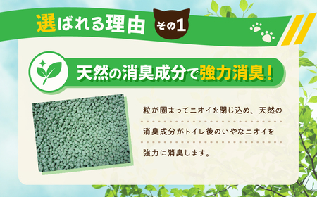 【３か月定期便】 【おから】 猫用 トイレ砂 6L 天然素材 固まる 燃やせる 流せる　猫 猫砂