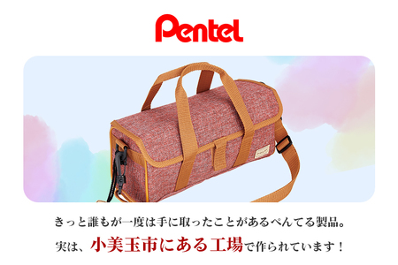 スケッチセット ZST30 赤 レッド 水彩絵の具セット 水彩画セット 水彩絵具セット えのぐセット エフ水彩 12色 水彩筆 絵筆 画筆 プレゼント ギフト 誕生日 幼稚園生 小学校 小学生 画材セ