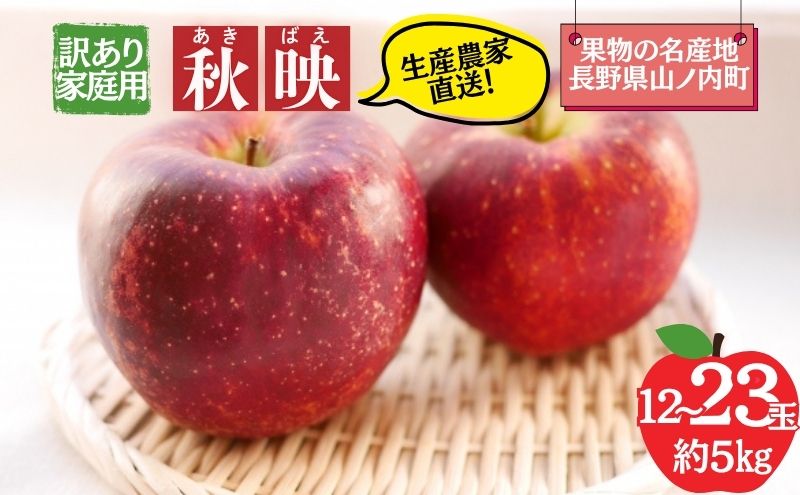 【2026年10月発送】秋映 訳あり家庭用 約5kg 12～23玉 りんご 果物 訳あり 信州 長野
