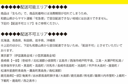 魅惑の柿の葉寿司 じゃこ16個入 (冷蔵) / 和歌山 紀の川 かつらぎ町 鯖寿司 ふるさと納税 すし 魚介類 水産 食品 人気 おすすめ 送料無料【A-frks179】