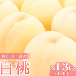 2026年 ご家庭用 白桃 岡山市一宮産 桃 (早生、中生種) 約1.3kg 4～6玉 先行予約