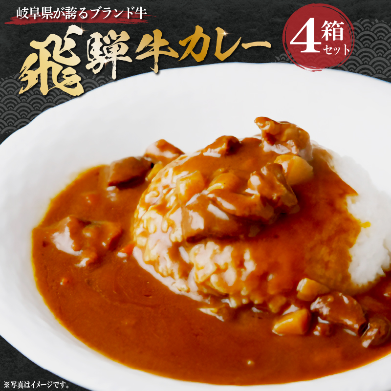 飛騨牛 カレーセット【0016-010】