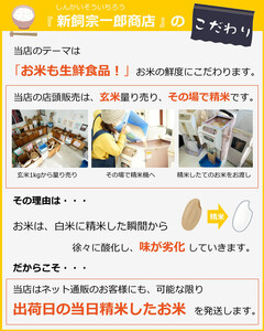 福岡県産 元気つくし 5kg (5kg×1袋) (令和7年産)