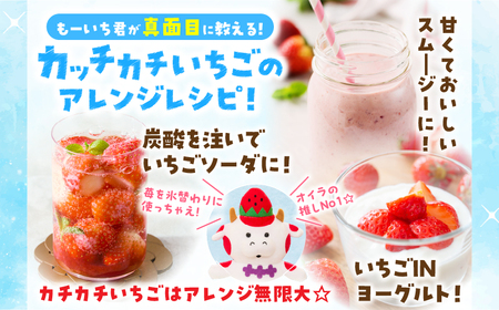 【冷凍いちご】森のいちごのカッチカチいちご【さぬきひめ】　2kg_mk035-008