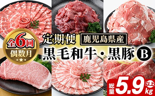 
                  ＜定期便・全6回(偶数月)＞鹿児島県産 黒毛和牛・黒豚 定期便 B (総量5.9kg以上) 国産 鹿児島県産 黒豚 しゃぶしゃぶ 肩 ロース スライス 訳あり 切り落とし 黒毛和牛 サーロイン ステーキ 黒豚 バラ カタ ウデ 小分け セット akn042-37
                