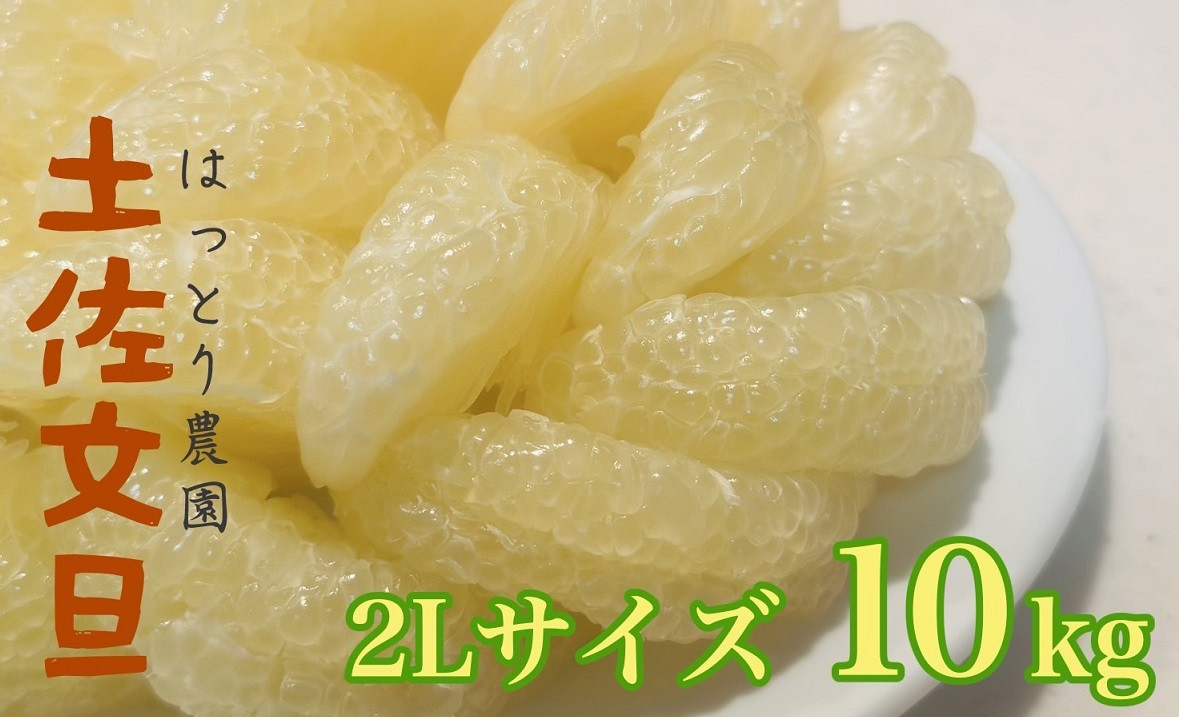 
            はっとりさんちの農園で育てた土佐文旦(2Lサイズ10kg) 早期予約 文旦 10kg 2L サイズ 柑橘 土佐文旦 みかん 蜜柑 期間限定 季節限定 先行予約 ふるさと納税 人気 高知 安田町 HT-07
          