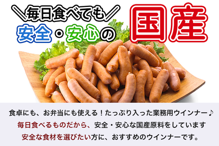 訳あり 国産 ウインナー 3kg 冷凍 ウインナー ソーセージ DV031