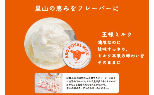 【ASO ROYAL MILK】阿蘇小国ジャージーアイス 4種詰め合わせ 100ml 16個 王様ミルク 小国ゆず 小国ブルーベリーヨーグルト 小国ラズベリー 各2個 小国ジャージー牛乳 ジャージーミ