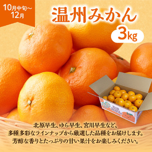 【定期便/年4回】ＪＡむなかた厳選！人気のフルーツ定期便【ほたるの里】_HB0140