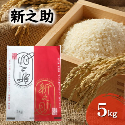 【ふるさと納税】新之助　5kg お米