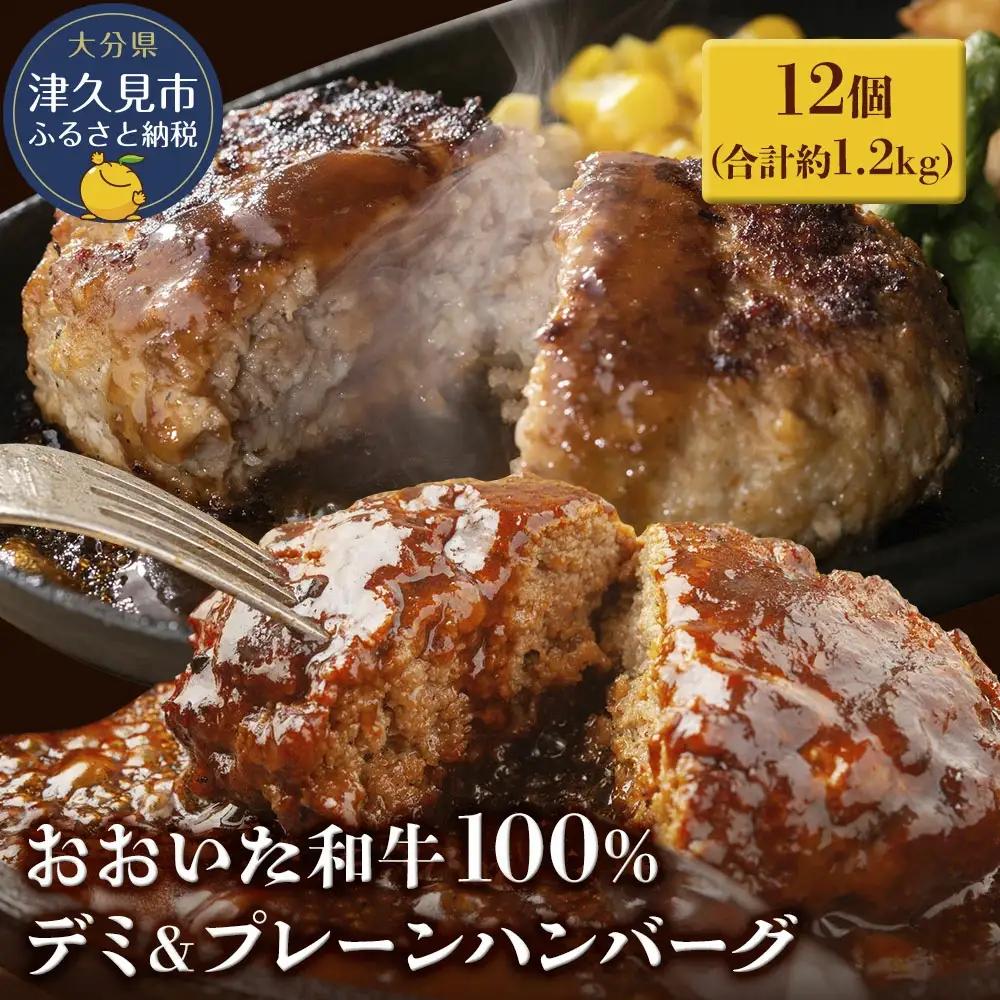 おおいた和牛ハンバーグ デミ＆プレーンハンバーグ 12個 合計約1.2kg | 津久見市