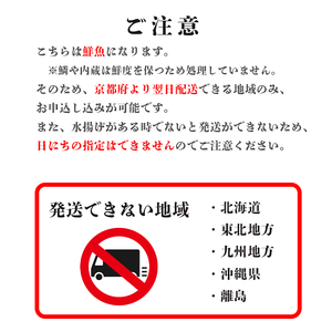 【12月から3月のみ発送】 漁連直送！！ 特選京鰆3kg以上 鮮魚 1尾 朝獲れ 直送 天然 新鮮 鮮度抜群 冷蔵 ナマモノ 寒さわら 京都 舞鶴