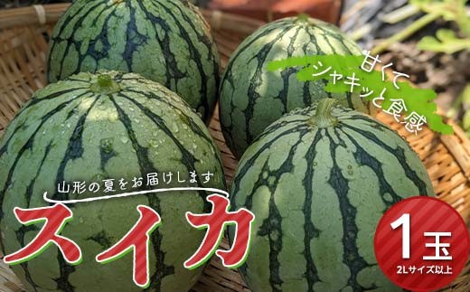 《先行予約 2025年発送》山形県 尾花沢産スイカ 1玉  スイカ すいか 西瓜 デザート フルーツ 果物 くだもの 果実 食品 山形県 FSY-0168