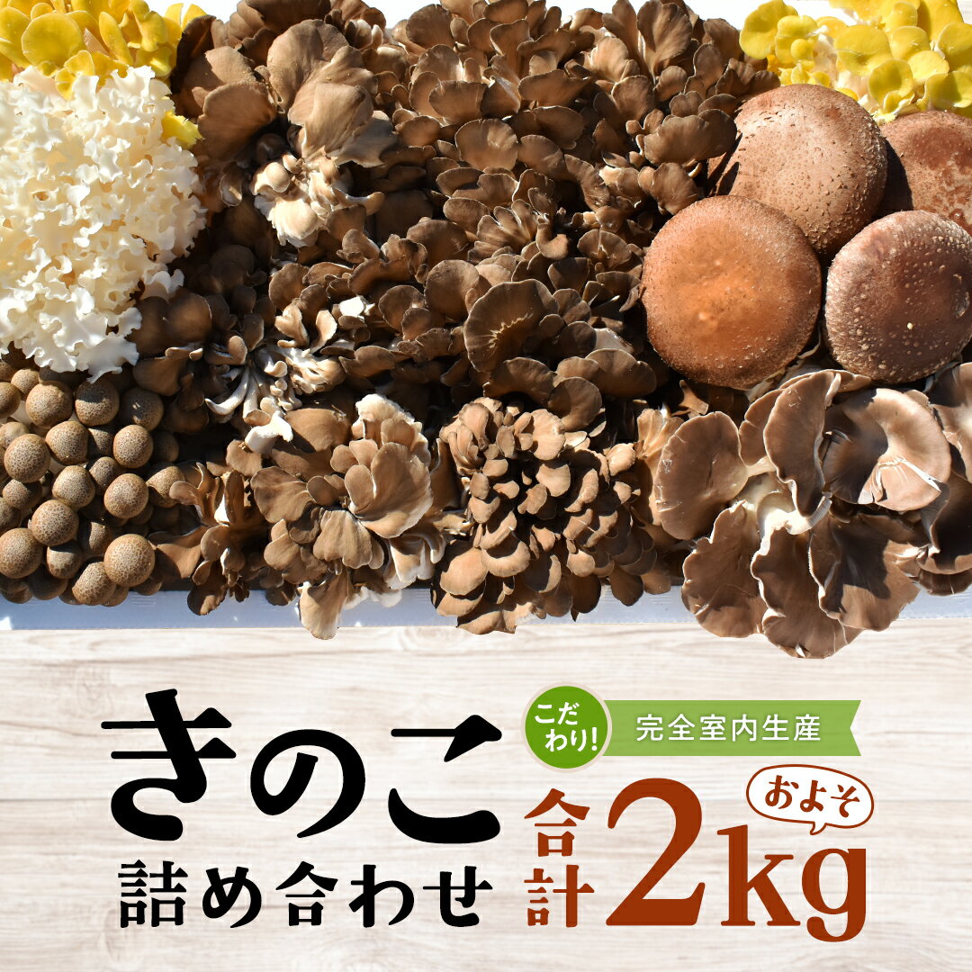 【ふるさと納税】きのこ の 詰め合わせ Lサイズ( 約2kg ) （茨城県共通返礼品：城里町） キノコ セット 野菜 低カロリー ダイエット デトックス バラエティ セット 新鮮
