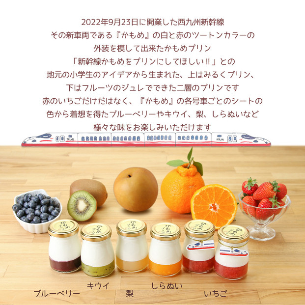 かもめプリン5種8個セット