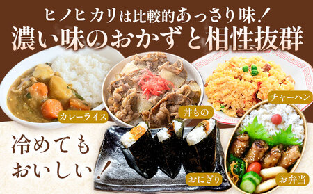 【6ヶ月定期便】令和7年産 精米 七城のこめ 6kg《30日以内に出荷予定(土日祝除く)》熊本県 菊池市 米 白米 ヒノヒカリ でんすけ農場