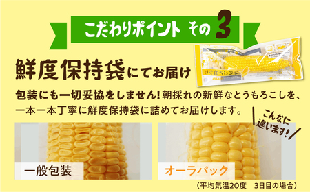 《先行予約》高評価 平均糖度20以上 白い極甘とうもろこし 8本 朝採り 人気 甘い 簡単調理 まるで フルーツ 送料無料 高レビュー 数量限定 2025年 先行予約