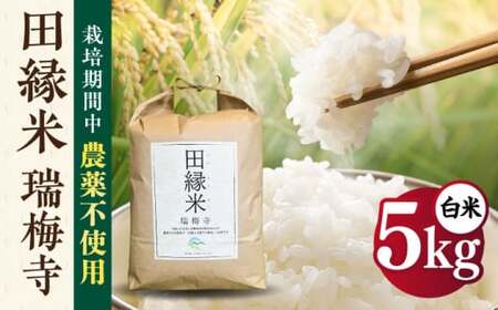 【先行受付中】 田縁米(でんえんまい)・瑞梅寺(ずいばいじ) 白米 5kg 【2026年12月上旬順次発送】糸島市 / NPO法人田縁プロジェクト 米 白米 [ATM004]