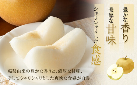 【先行予約】王秋梨 秀 約4kg（4～13玉前後）※2026年10月下旬～12月上旬頃に順次発送予定 【梨 なし 果物 フルーツ くだもの 鳥取県産 北栄町 おすすめ 人気】