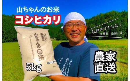 令和7年度産 農家直送「山ちゃんのお米」コシヒカリ5kg【10月1日発送開始】