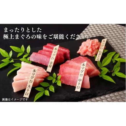 本マグロ【3回定期便】長崎県産 本まぐろ 3種セット  ( 大トロ 中トロ 赤身 ) 総計800g以上【本家永松屋】