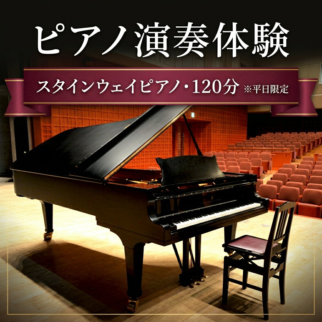 【ふるさと納税】スタインウェイピアノ 試弾券（120分） ※平日限定（午前9時～午後9時）| ゆめりあホール 貸切 演奏 練習 録音 発表会 スピリット・オブ・スタインウェイ 使用期限6か月 北海道 新十津川町 【新十津川町】