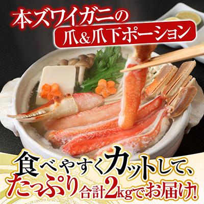 ふるさと納税 根室市 【年内配送可】本ズワイガニ(爪棒肉ポーション・爪下棒肉ポーション)2kg C-11031 |  | 01