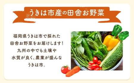 【月イチ定期便】UIC 名水うきは 旬の滋味（じみ）野菜セット (ひと月1箱×4か月=計4回)