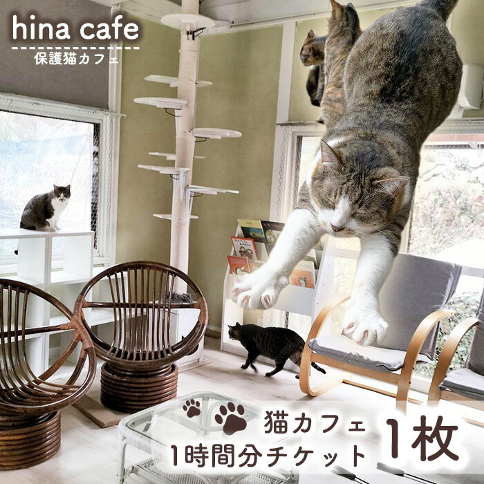 【ふるさと納税】No.200 猫ルーム1時間利用チケット1枚 ／ hinacafe 猫カフェ 保護猫 遊び 触れ合い 写真撮影 まったり 癒し 送料無料 山口県