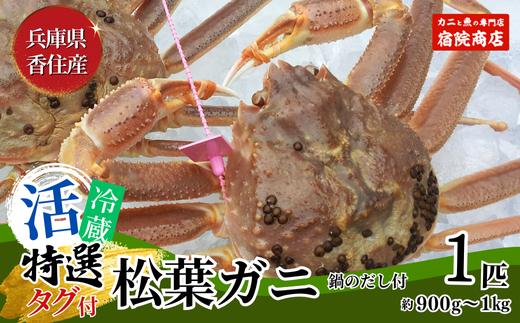 松葉ガニ【特選 活 松葉ガニ 生 1匹（約900g～1kg）冷蔵】11月中旬以降配送予定 水揚げの関係上、配達日の指定はできません 香住で水揚げされた新鮮な活松葉ガニをお届け カニの本場 香住 新鮮 国産 鍋 かにすき 脚 足 爪 身 肩 大人気 ふるさと納税 おすすめ 返礼品 かに カニ 兵庫県 香美町 香住 柴山 ズワイガニ 宿院商店 100000円 33-27