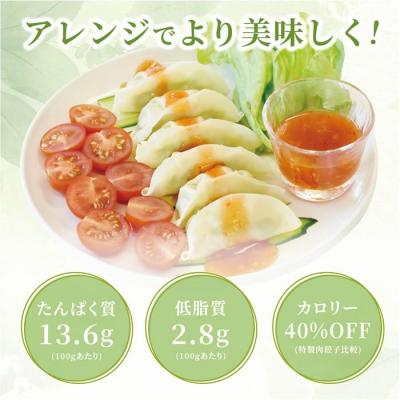 ふるさと納税 名古屋市 【バジル】チキンとブロッコリーのヘルシーギョウザ　48個 |  | 01