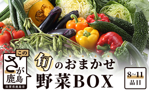 AA-4 野菜 旬のおまかせ野菜BOX 8~10品目 | ふるさと納税 野菜 やさい 野菜セット 詰め合わせ 旬 新鮮 産地直送 大容量 ふるさと 佐賀県 鹿島市 安全安心 リピーター オススメ 人気 送料無料