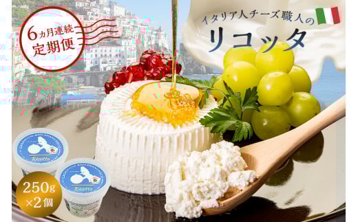 【定期便】リコッタ Ricotta 250g 2個セット(6カ月連続お届け)【岐阜県 可児市 しぼりたて 高品質 生乳 フレッシュ 柔らかい クリーム 食感 ミルク 風味 甘み チーズ】