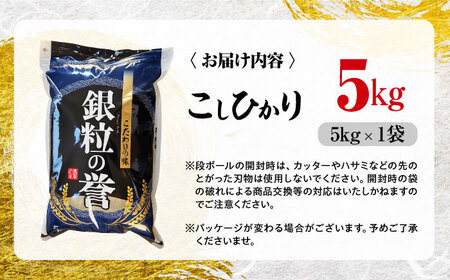 【令和7年産米】米 こしひかり 5kg 白米 お米 ご飯 コシヒカリ 三次市/アグリ君田[APDC001]