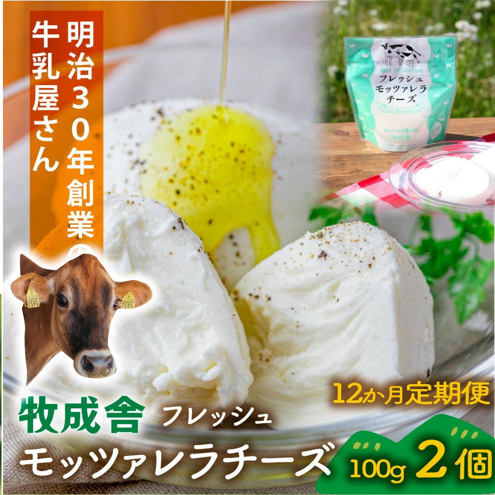 【ふるさと納税】【12か月定期便】牧成舎のフレッシュモッツァレラチーズ2個 (有)牧成舎 DF223