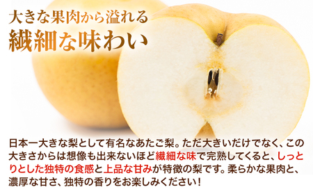 あたご梨 3kg【配送不可地域あり】梨