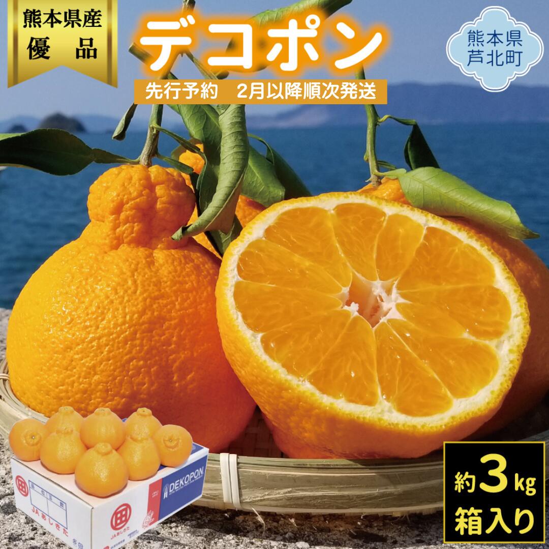 【ふるさと納税】露地デコポン3kg 熊本県産　令和8年2月下旬頃より順次発送します