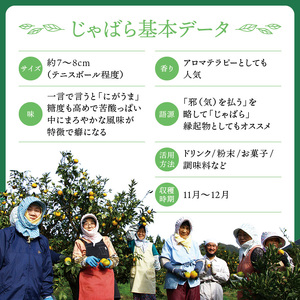 じゃばら果汁飴 5袋（6倍濃縮果汁入）アメ キャンディー【njb551A】