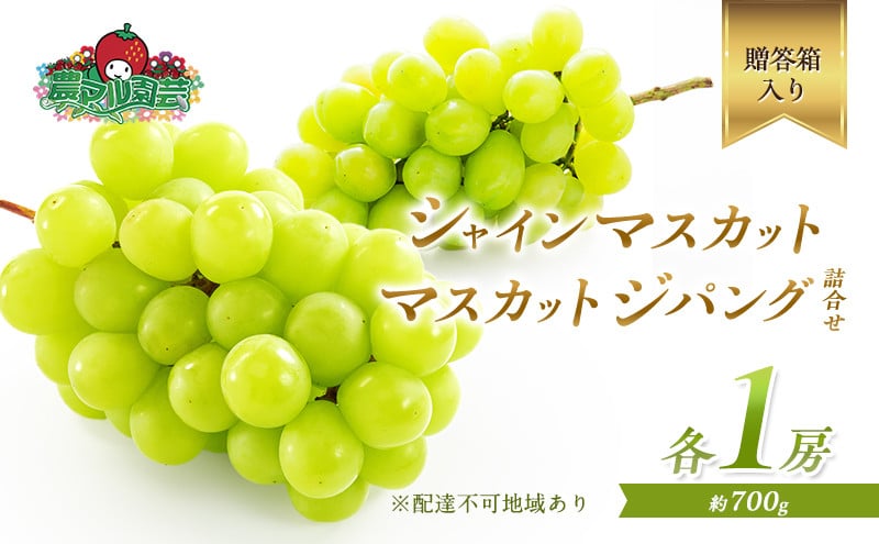 
            ぶどう 2025年 先行予約 シャイン マスカット 1房 マスカット ジパング 1房 各約700g 詰合せ 贈答箱 ブドウ 葡萄 フルーツ 果物 岡山 赤磐市産 農マル園芸 あかいわ農園
          