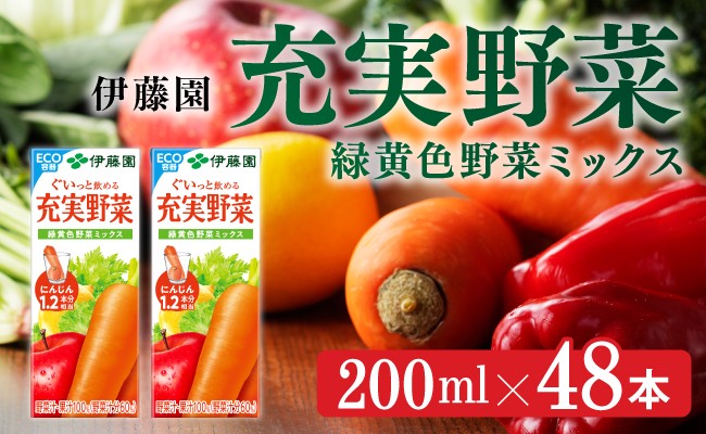 
            伊藤園 充実野菜 緑黄色野菜ミックス（紙パック）200ml×48本 【伊藤園 飲料類 野菜ジュース 野菜 ジュース ミックスジュース 飲みもの】
          