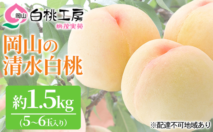 桃 2027年 先行予約 清水 白桃 1.5kg 5～6玉 もも モモ 岡山 国産 フルーツ 果物 ギフト 桃茂実苑 果肉 