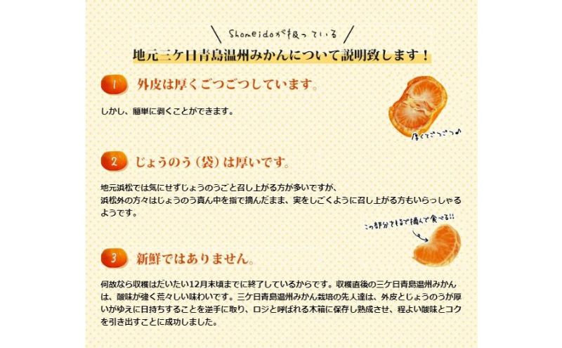 三ケ日みかん 青島 【特選 ミカエース】 Mサイズ4kg(36個前後) ミカン 果物 くだもの フルーツ 甘い 果物類 柑橘類 静岡 浜松市【配送不可：北海道・沖縄・離島】