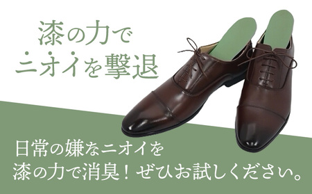 インソール 消臭 漆Ｉder A 桃 あらい有限会社《30日以内に順次出荷(土日祝除く)》 靴 消臭 漆 長持ち インソール 
