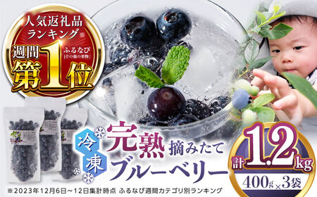 【2025年8月中旬より順次発送】【先行予約】冷凍ブルーベリー 計1.2kg (400g × 3パック) ブルーベリー ブルーベリー ブルーベリー ブルーベリー ブルーベリー 国産【清和の恵み工房】[YAA003]