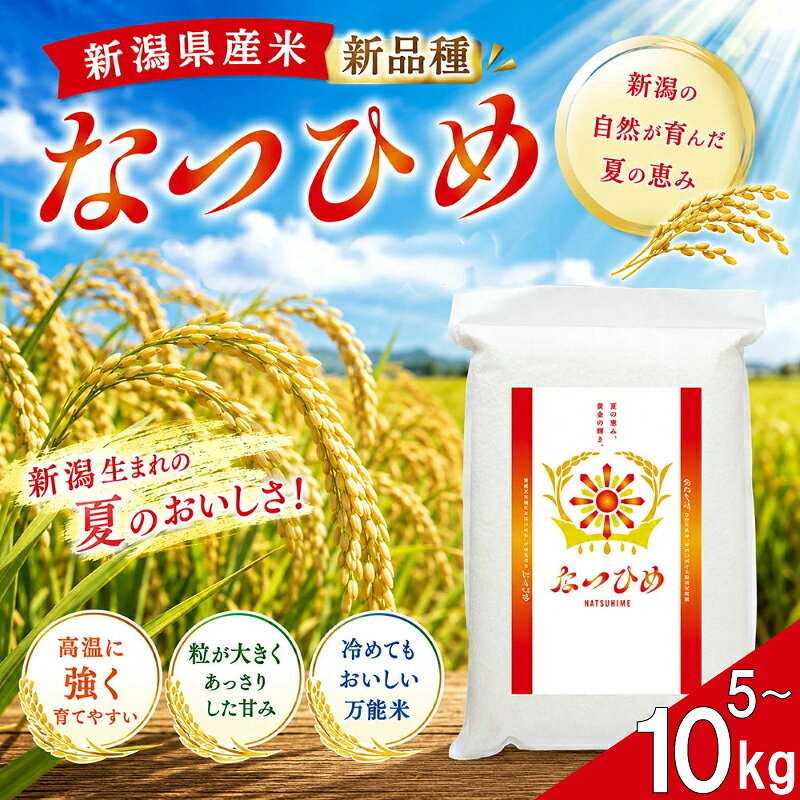 【ふるさと納税】 最短5日発送 令和8年産 なつひめ 真空パック 選べる 5kg 10kg 新米 白米 新潟産 新潟米 新発田産 新発田 お米 米 kome ご飯 こめ ごはん ライス ふるさと納税 お弁当 食品 ブランド米 新潟県 新発田市 三糧 sanryo021P