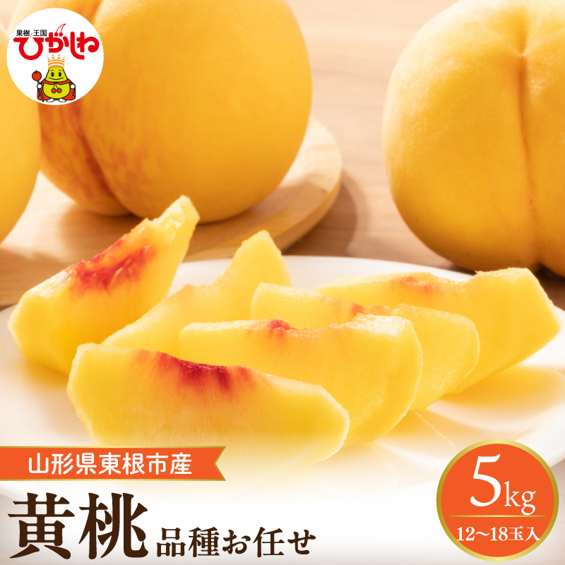 【2026年産先行予約】採れたて黄桃(品種お任せ) 約5kg (12～18玉)晴天畑提供 山形県 東根市 hi026-058