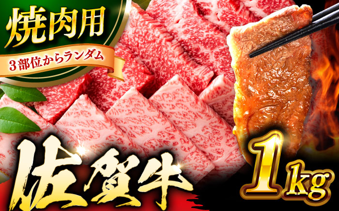 艶さし！ 佐賀牛 焼肉用 1kg  （500g×2P） ※バラ・肩ロース・モモのいずれかの部位※ 吉野ヶ里町 [FDB021]