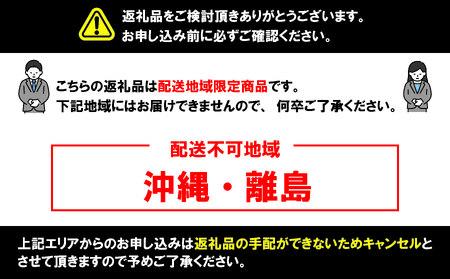 スペシャルブレンド テトラパック20P コーヒー 珈琲 コーヒー 珈琲